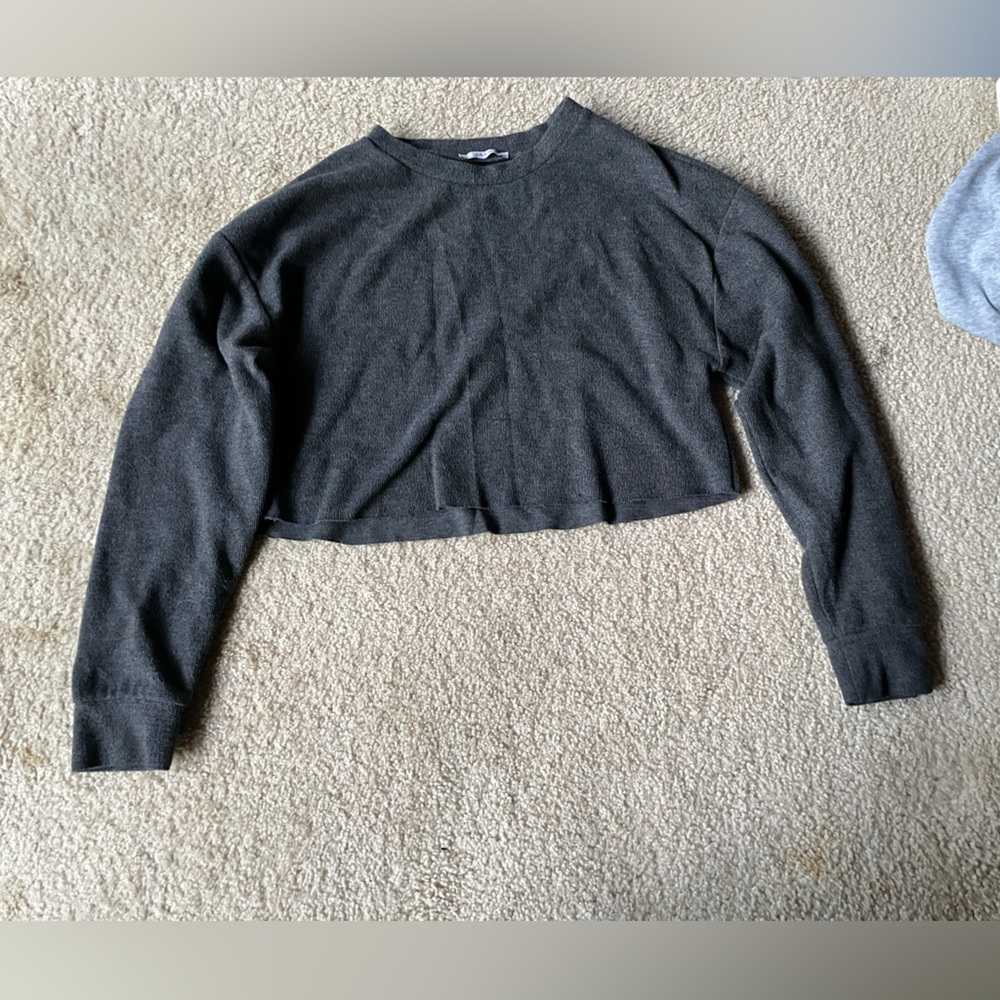 Zara Cropped Hoodie